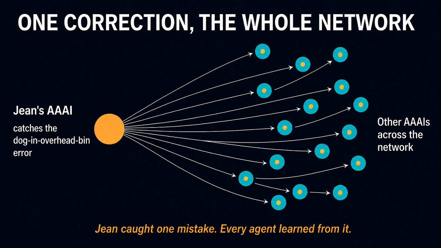 n amber "Jean's AAAI" node sends arrows outward to a dozen teal AAAI nodes across a network, each picking up an amber dot to show it received his correction.