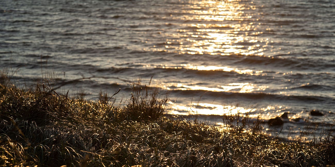 Tonight on PWFM :: How to know when you don't know. The nature of consciousness.