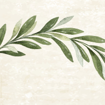 A Escrita É Meu Chão