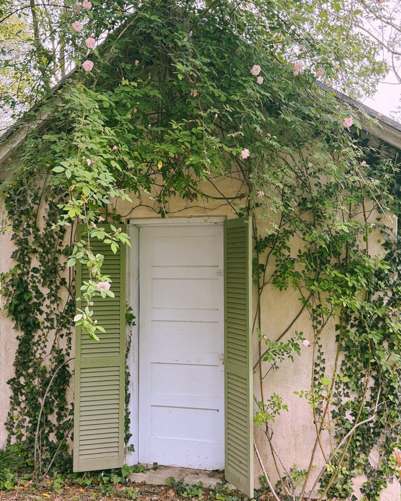 Kristin Ellen Hockman | Substack