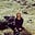 Bridget McQuillan's avatar