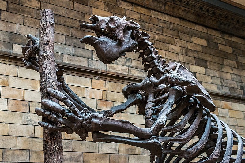 File:Giant Ground Sloth (21002994188).jpg File:Giant Ground Sloth (21002994188).jpg