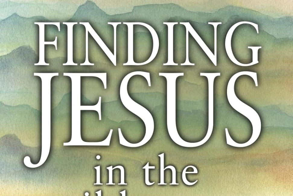 Finding Jesus in the Wilderness: 40 reflections for dry and difficult times
