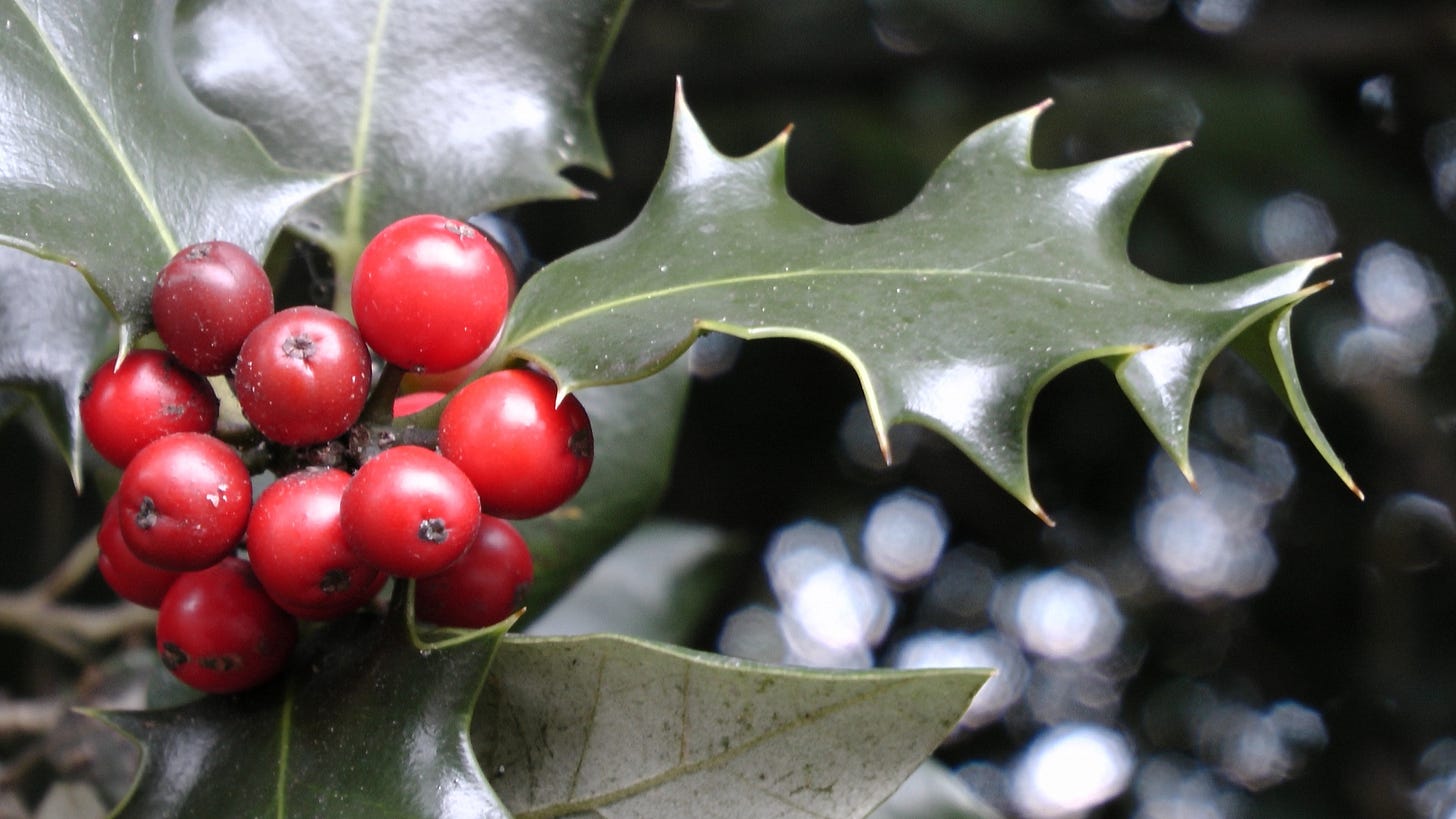 Kleine Weihnachten in Irland Kleine Weihnachten in Irland