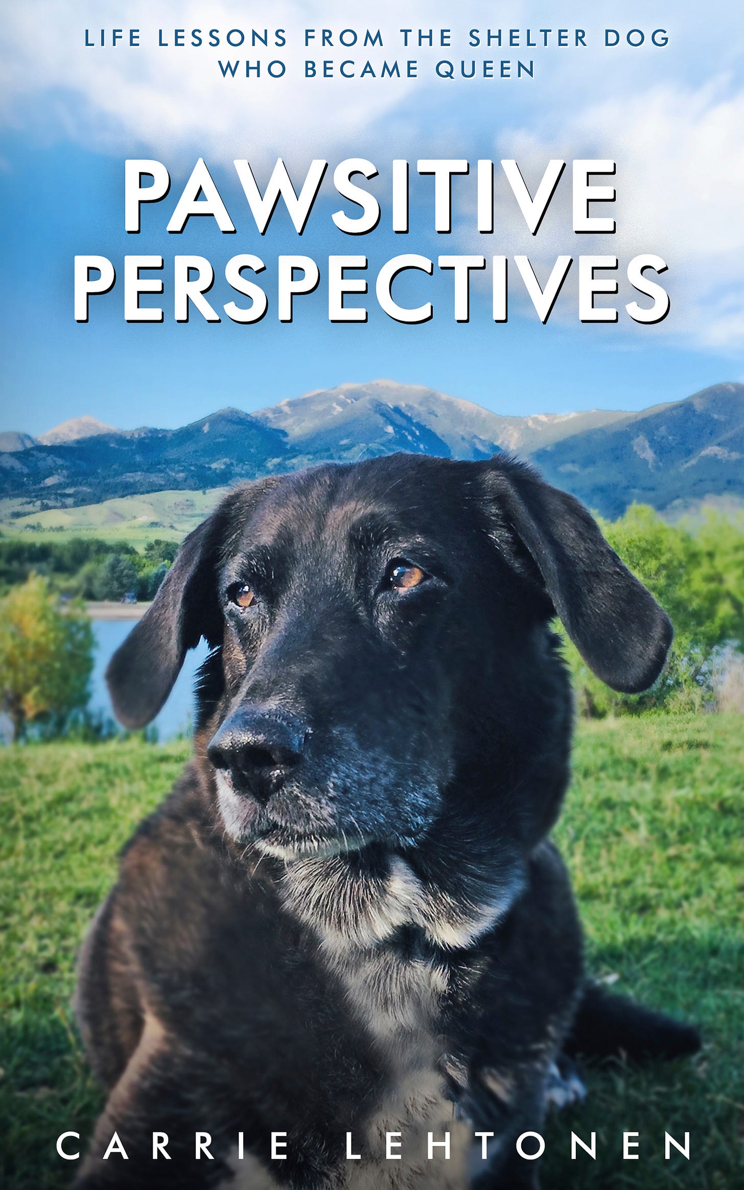 book cover with a photo of a dog in the grass in front of a lake and mountains in the distance