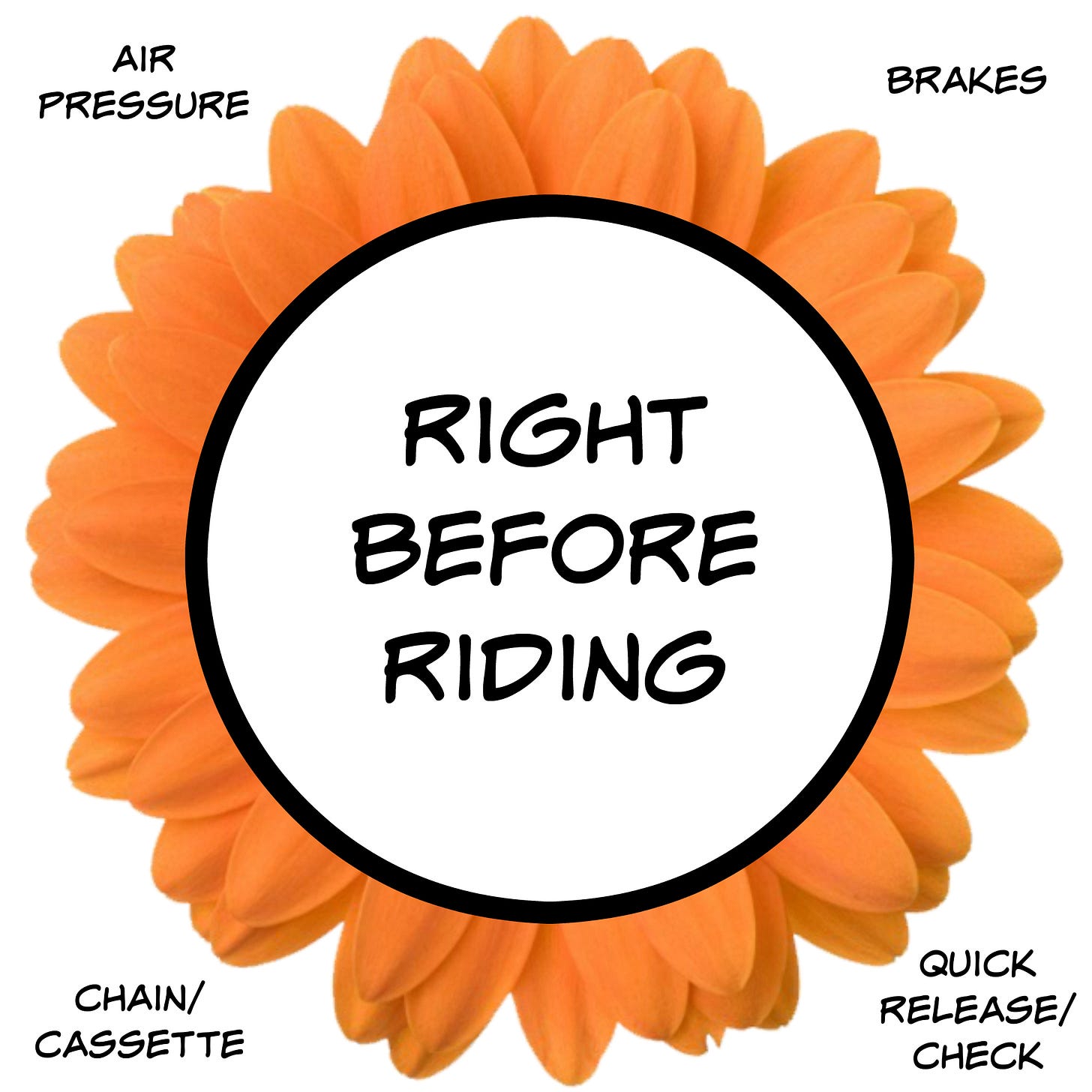 Right Before Riding considerations