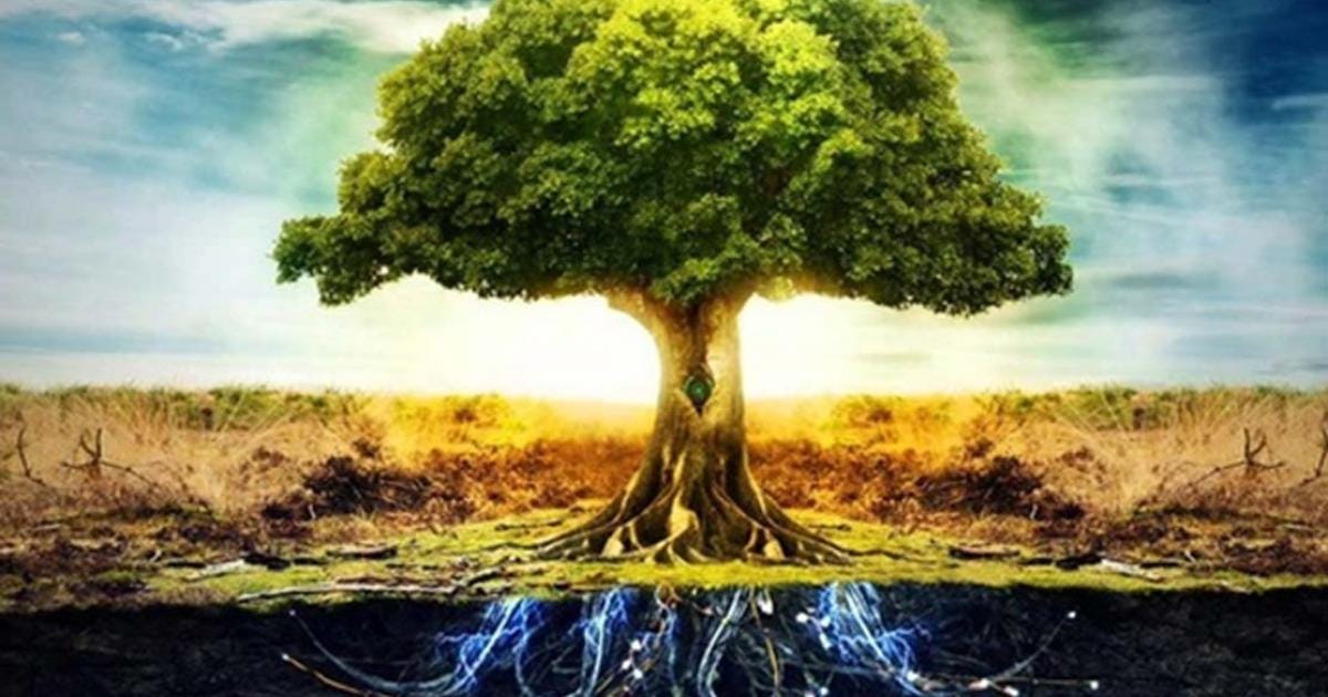 A depiction of a tree of life or axis mundi. A depiction of a tree of life or axis mundi.