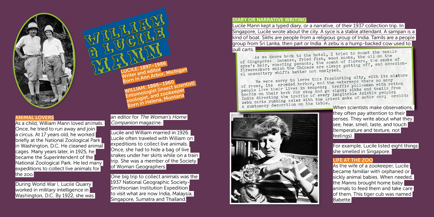 STEM narrative writing - help kids write about science