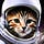 Short Chats with Space Cats