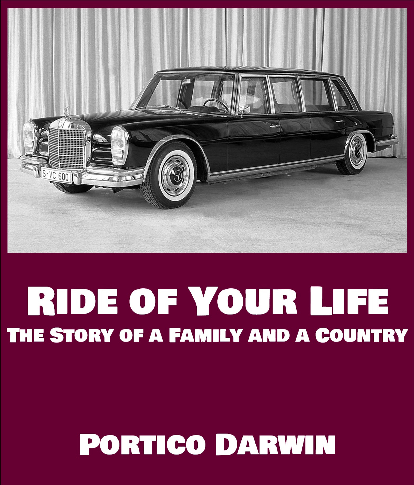 Ride of Your Life - Portico Darwin, image size:1600x1870
