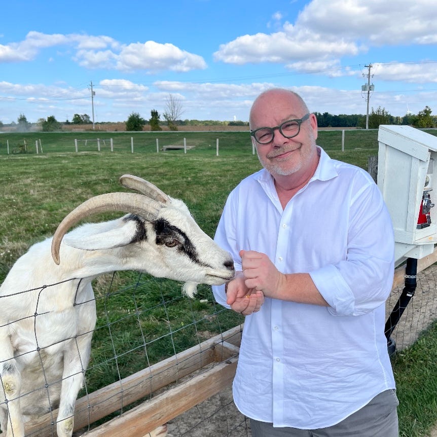 Heart of an Artichoke 