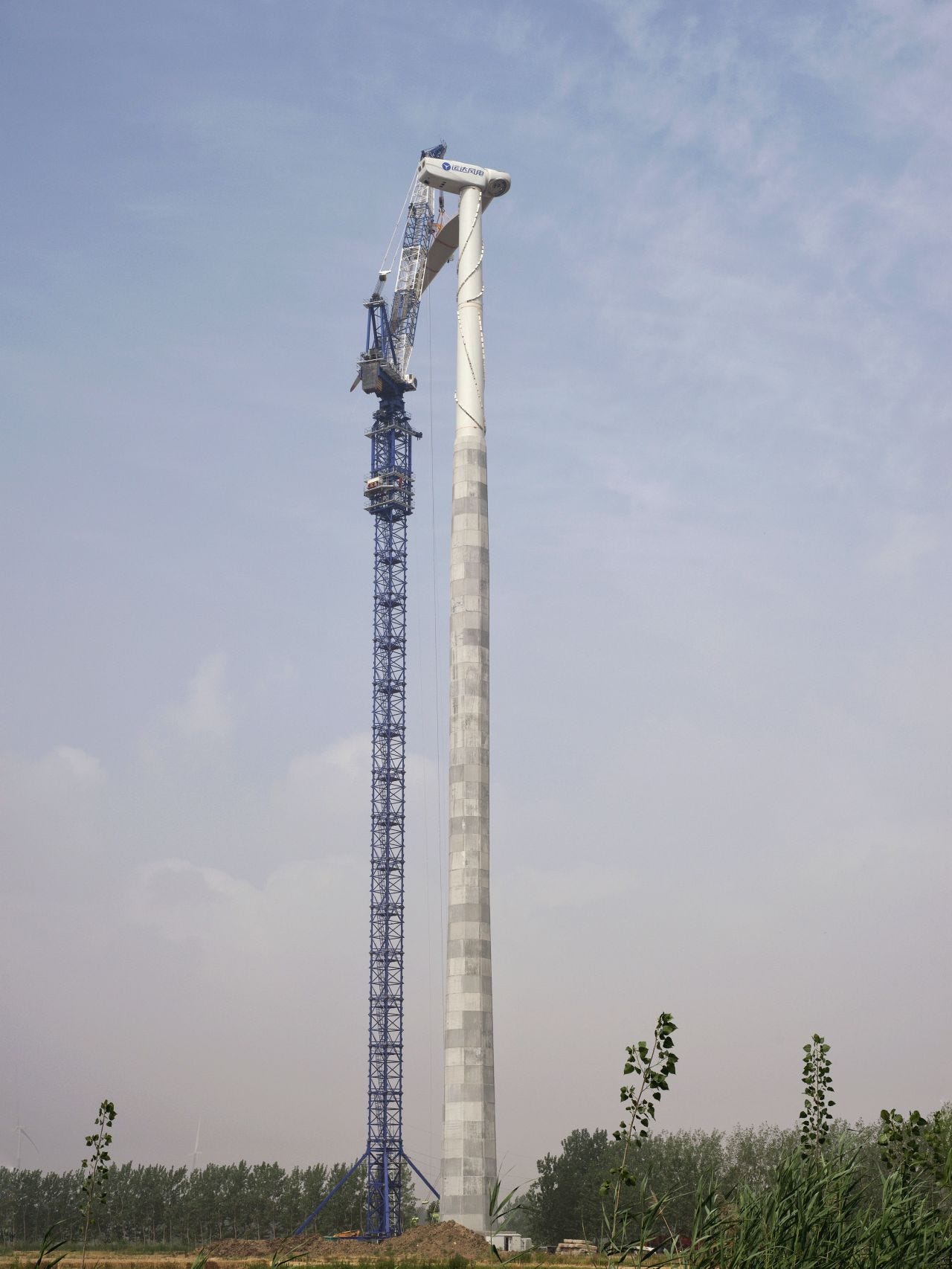 No hay texto alternativo para esta imagen