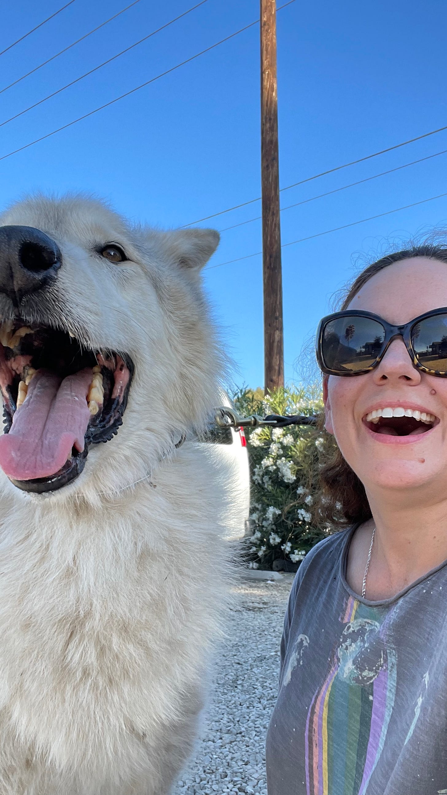 Courtney Hoskins poses with Hotah the wolf for a selfie before shooting her movie The Not.