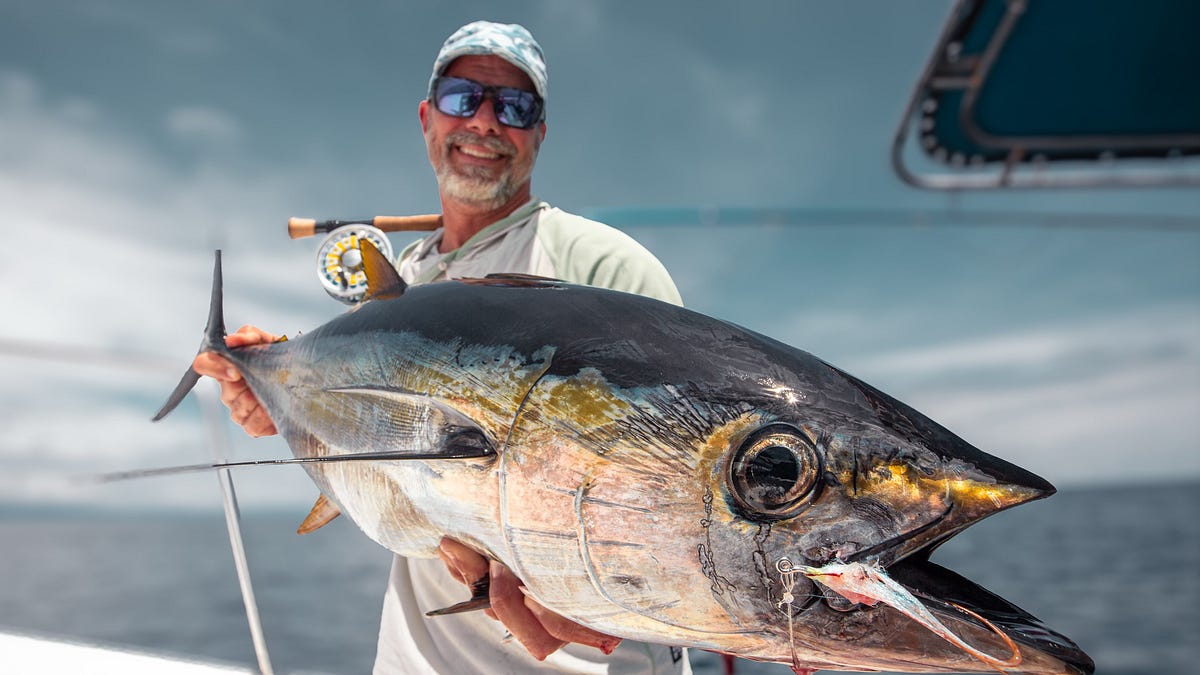 Weekly Round-Up: Fly Fishing the Darién Gap