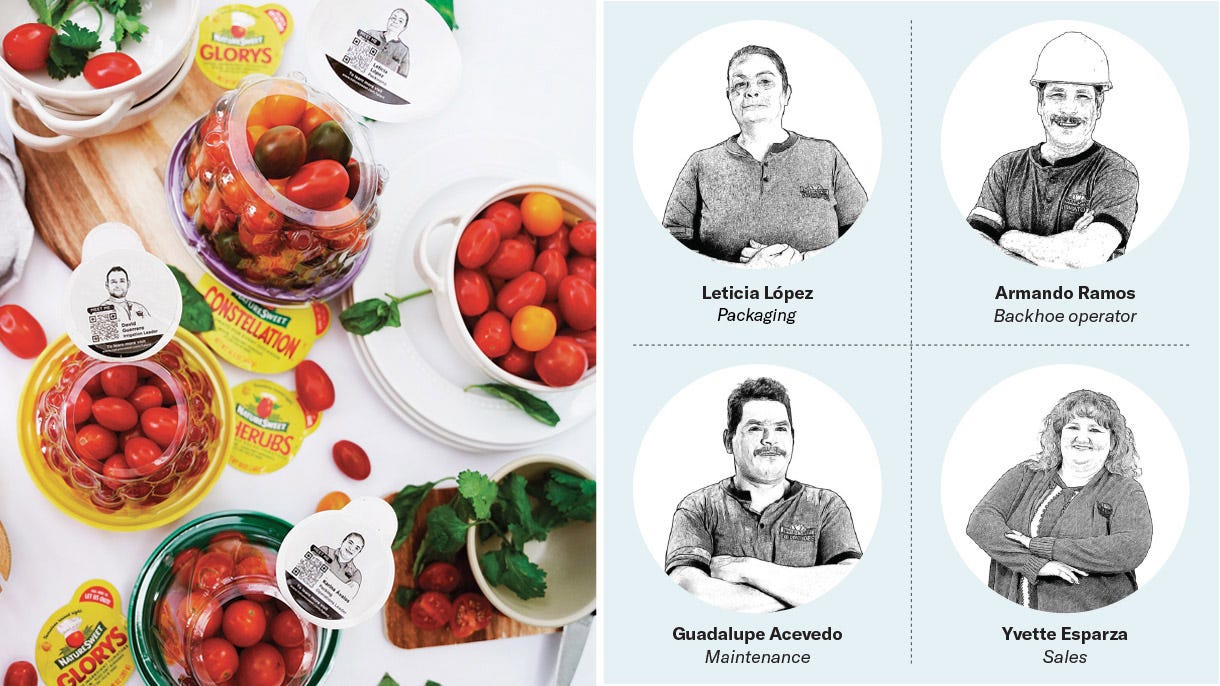 Packages of NatureSweet tomatoes, stickers peeled back to reveal the portraits underneath. Sketch portraits of four NatureSweet associates showing their names and jobs: Leticia Lopez, packaging; Armando Ramos, backhoe operator; Guadalupe Acevedo, Maintenance; Yvette Esparza, sales.