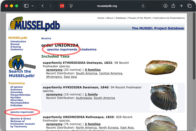 Screenshot from the MUSSELpdb. Screenshot from the MUSSELpdb.