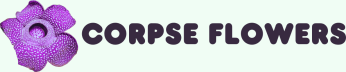 Corpse Flowers