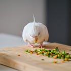 Ultimate list of 1,400+ bird-safe and toxic plants