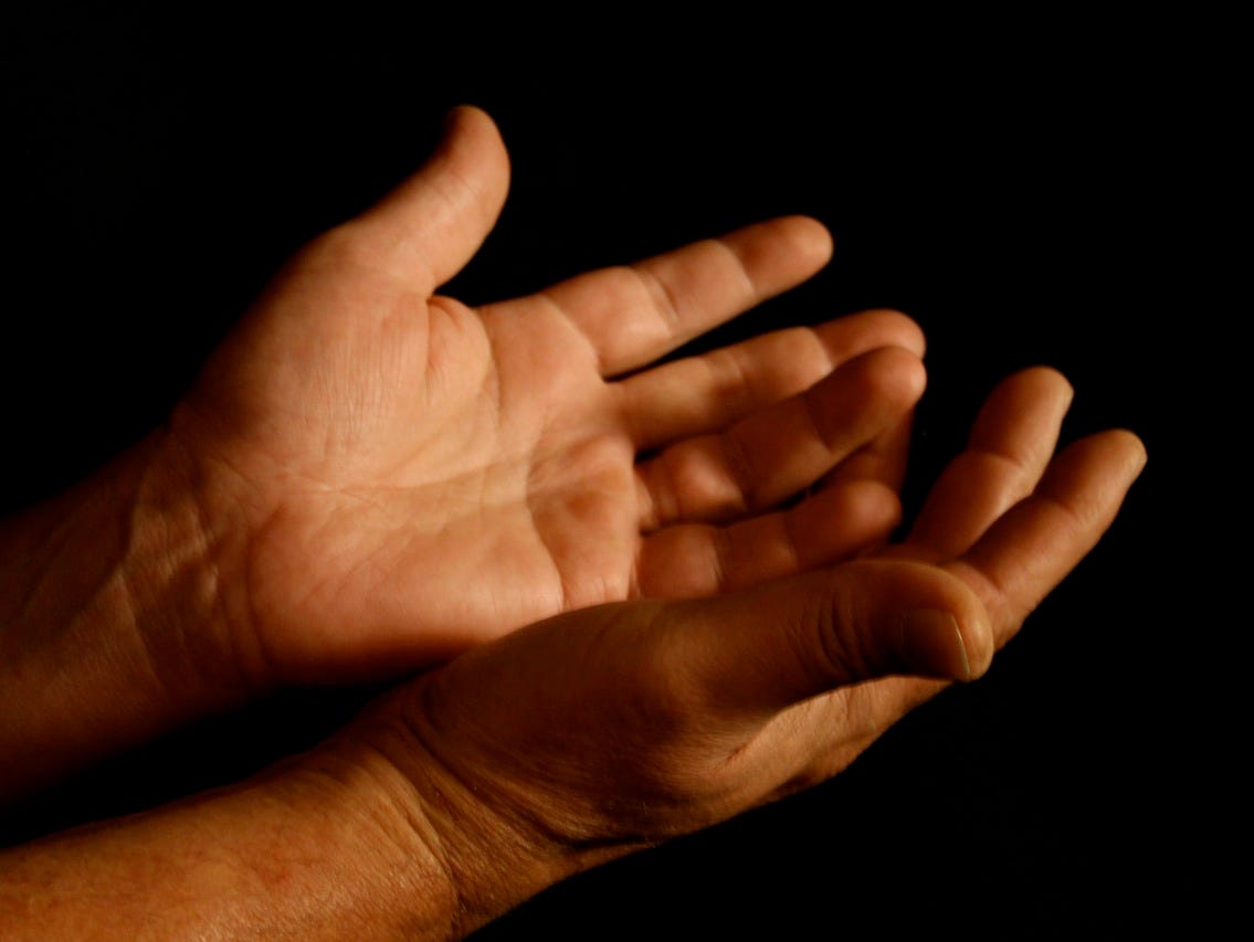 A person's two hands held out, palms up