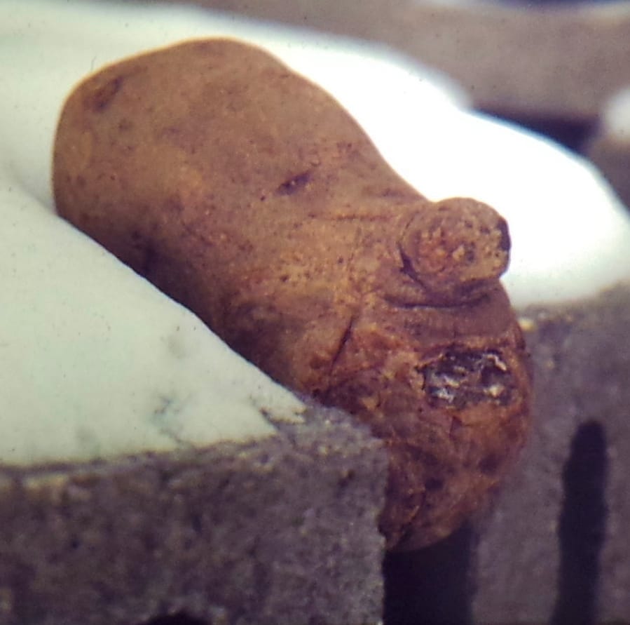 No photo description available.