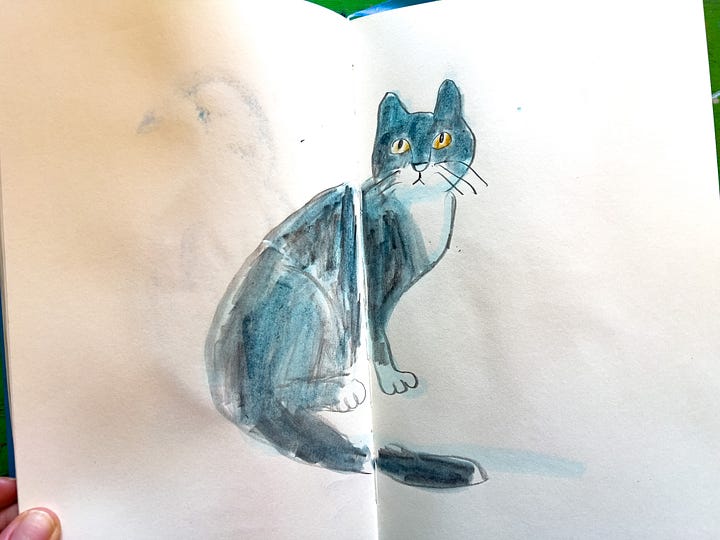animal drawings by beth spencer
