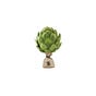 Capital Artichoke's avatar