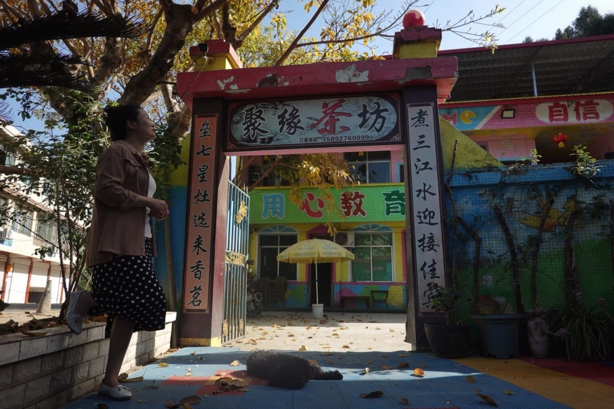 Who Will Till the Land? Conflicting Narratives About Rural China’s ...