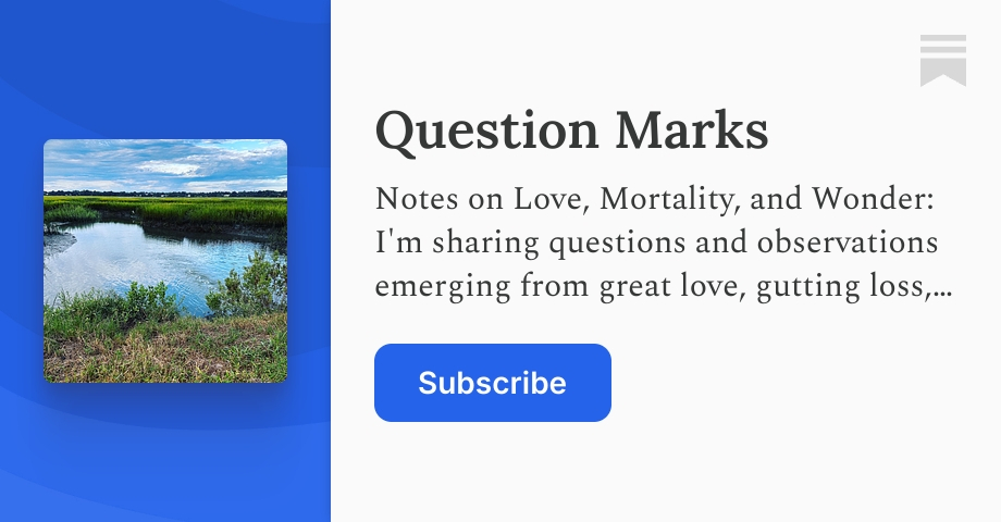 Question Marks | Rebecca Bruff | Substack