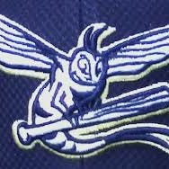 Mayflies & Big Flies