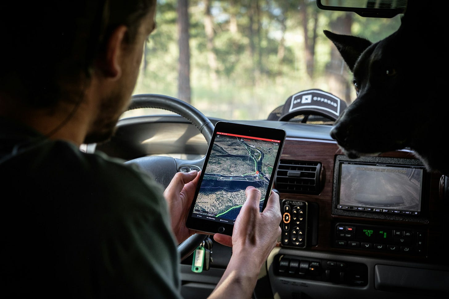 Un homme et un chien en train de regarder une carte de navigation au volant Un homme et un chien en train de regarder une carte de navigation au volant