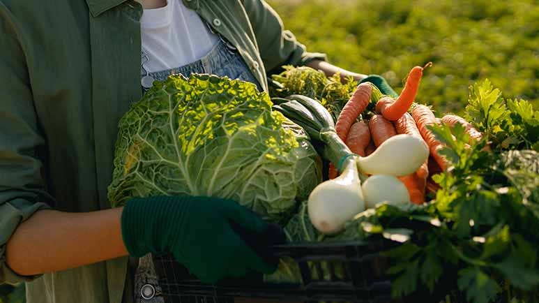 disease resistant vegetables