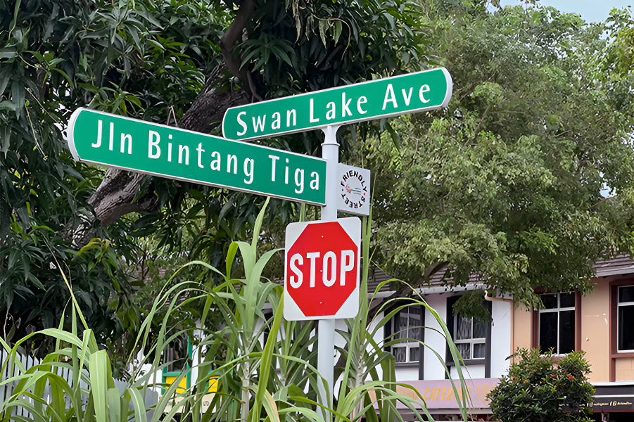 Swan Lake Ave