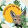 For Wild Nature