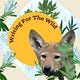 For Wild Nature