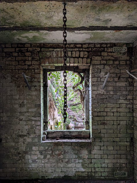 Images of gnarled wood, chains, a concrete vent pipe and trees in the forest