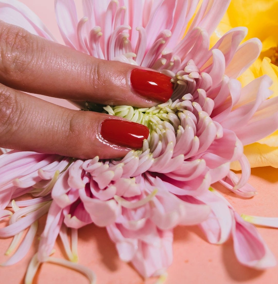 person pressing a chrysanthemum flower on pink surface