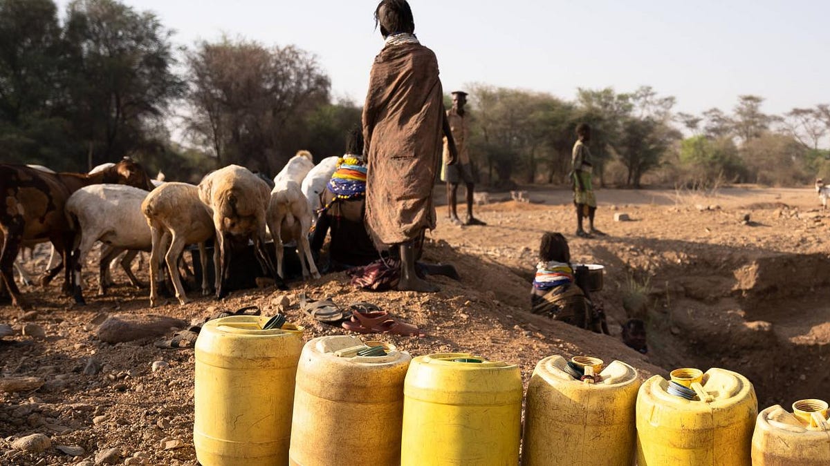 The Middle East & North Africa at a Crossroads