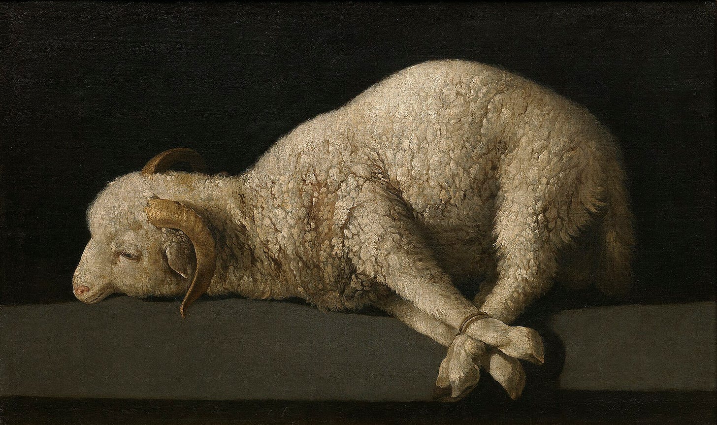 Francisco de Zurbarán, Agnus Dei, about 1635 to 1640. Museo del Prado, Madrid. Francisco de Zurbarán, Agnus Dei, about 1635 to 1640. Museo del Prado, Madrid.