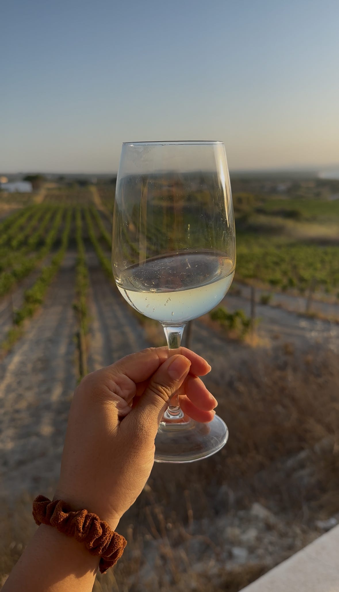 Sardinian white wine