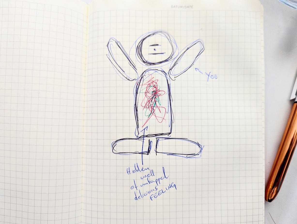 A simple diagram of a person with squiggly coloured lines in the body. An arrow points to the person marked 'You'. Another arrow points to the squiggly internal lines marked 'Hidden well of untapped delicious feeling'.