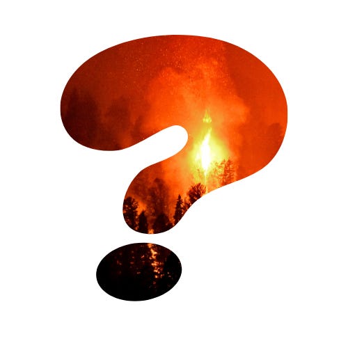 Just One More Question