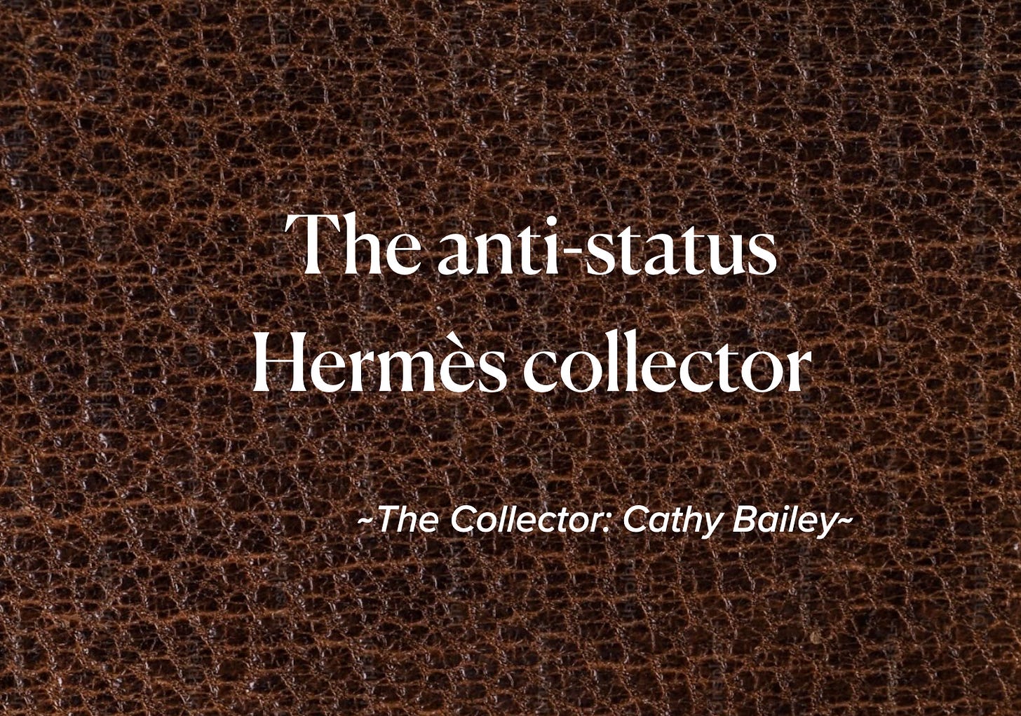 The anti-status Hermes collector, Cathy Bailey