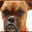 jellybelly's avatar