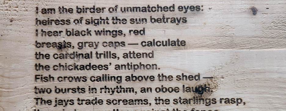 A close up of a wood

AI-generated content may be incorrect.