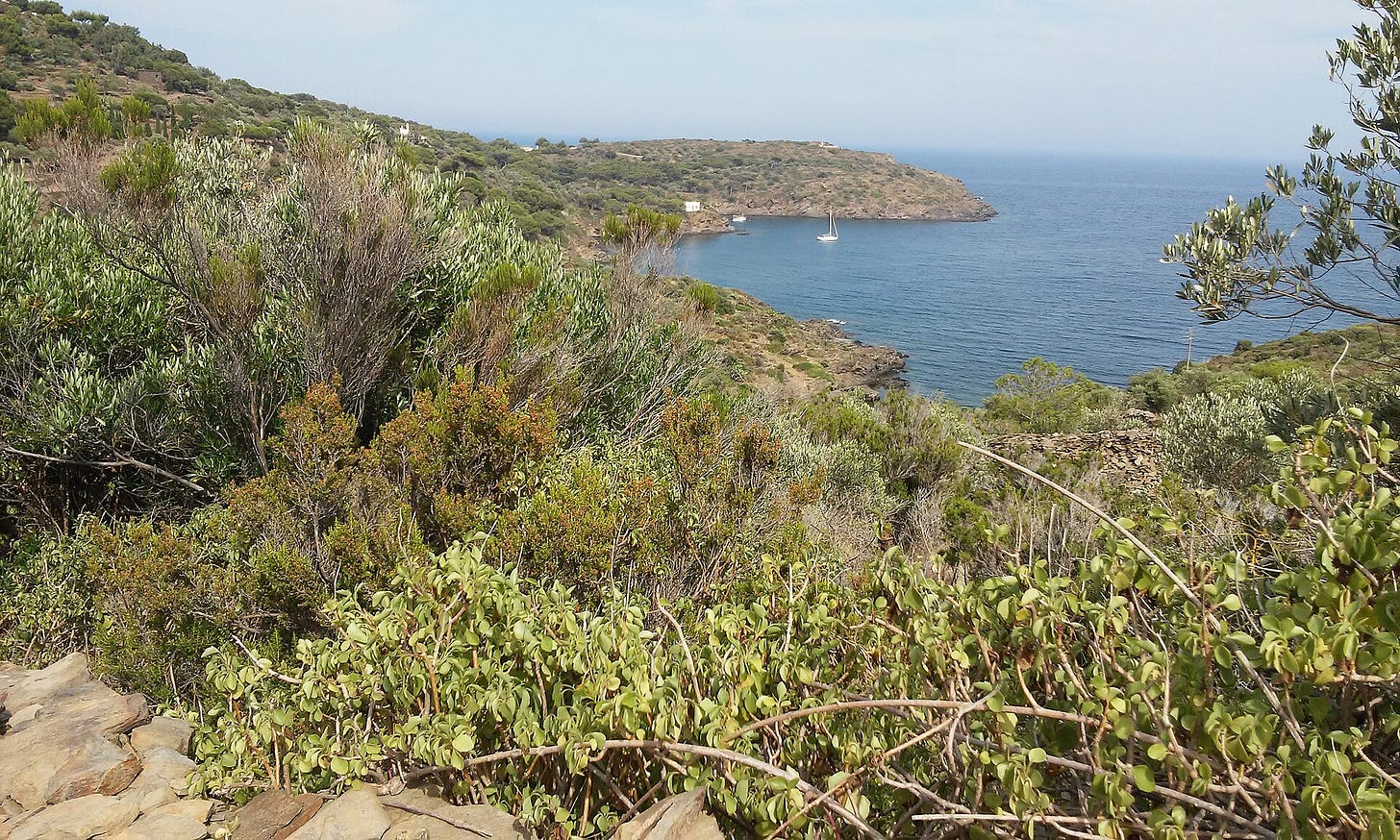 Cap de Creus, in northern Catalonia, the headland that Dalí's landscape drew on.