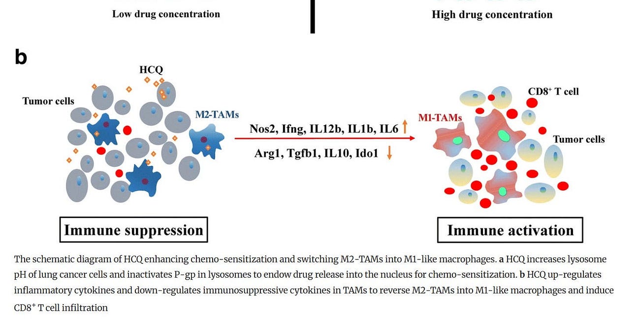 HYDROXYCHLOROQUINE Has Potent ANTI-CANCER Mechanisms