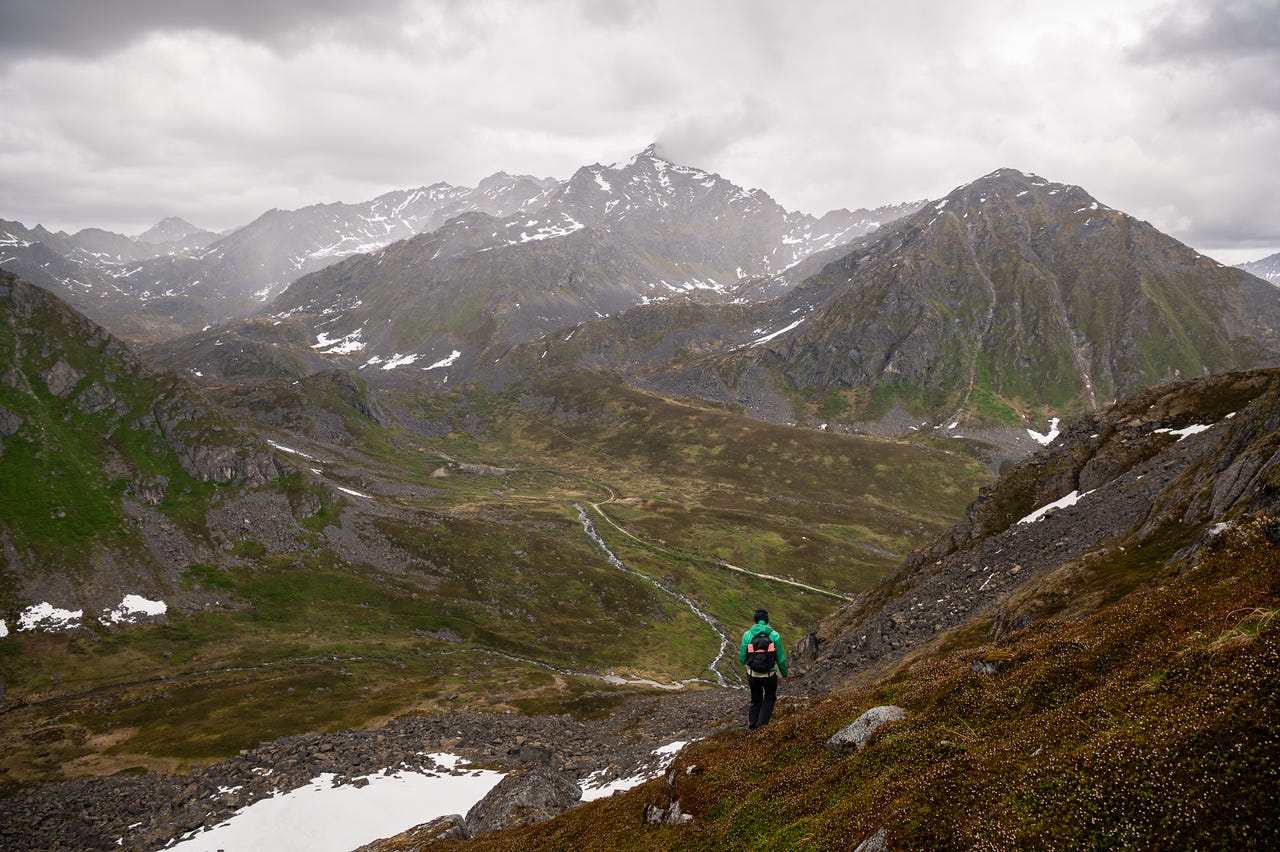 A hiker in a green jacket pauses on an open tundra slope, looking out over a broad green valley threaded by a creek and a dirt road. Across the valley, a massive pyramid peak stands wrapped in low cloud among a chain of darker summits, rain greying the air over the farthest ridges. The tundra in the foreground is a mix of russet and green, dotted with small white flowers. A hiker in a green jacket pauses on an open tundra slope, looking out over a broad green valley threaded by a creek and a dirt road. Across the valley, a massive pyramid peak stands wrapped in low cloud among a chain of darker summits, rain greying the air over the farthest ridges. The tundra in the foreground is a mix of russet and green, dotted with small white flowers.
