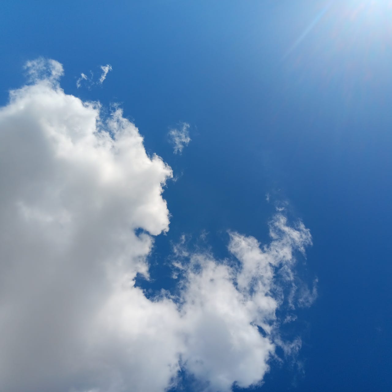 Solutions for the Targeted Community