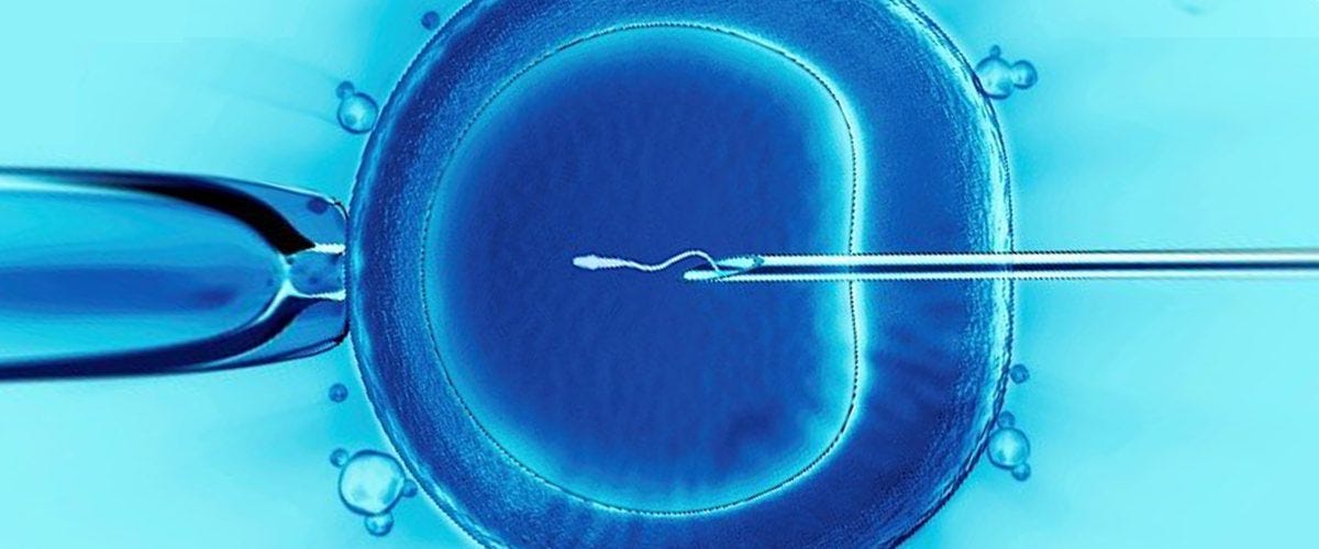 How Does IVF Work? How Does IVF Work?