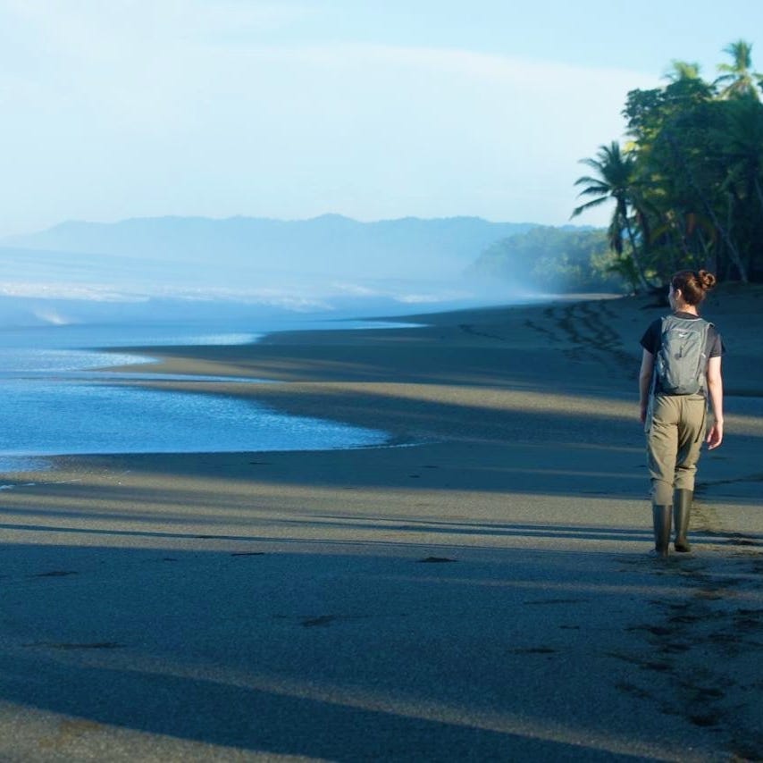 Field Notes from the Anthropocene